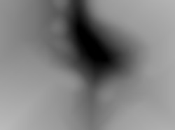 Member Image