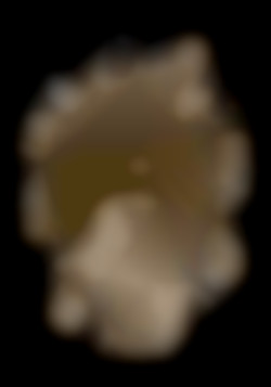Member Image