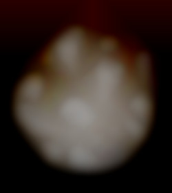 Member Image