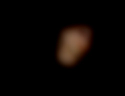Member Image