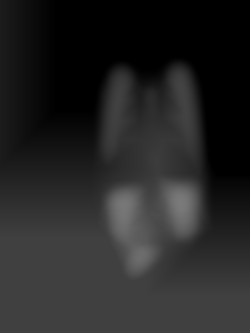 Member Image