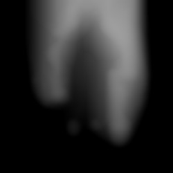 Member Image