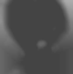Member Image