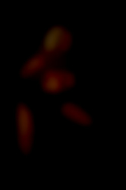 Member Image