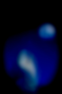 Member Image