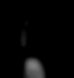 Member Image