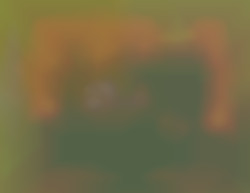 Member Image