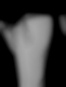 Member Image