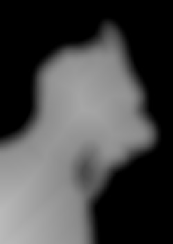 Member Image