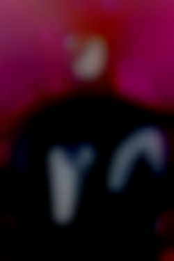 Member Image