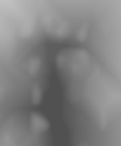 Member Image