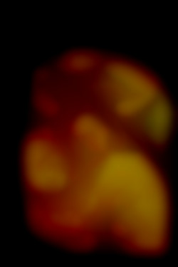Member Image