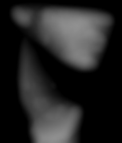 Member Image