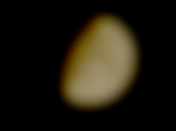 Member Image