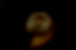 Member Image
