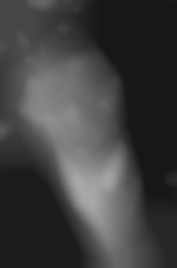 Member Image