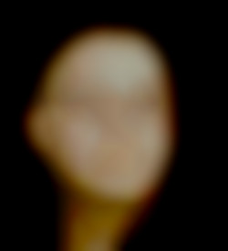 Member Image