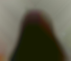 Member Image