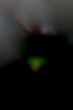 Member Image