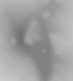 Member Image