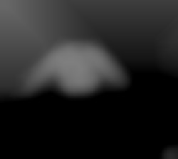 Member Image