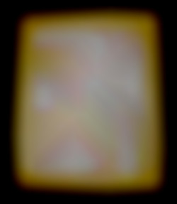 Member Image