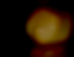 Member Image