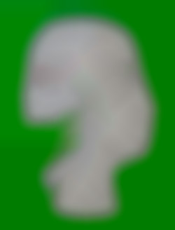 Member Image