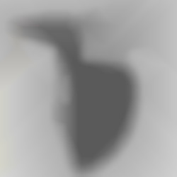 Member Image