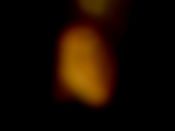 Member Image