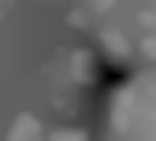 Member Image