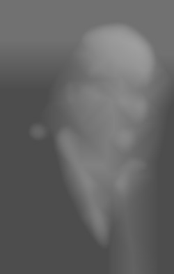 Member Image