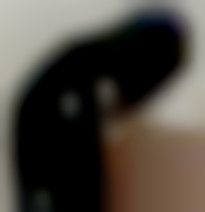 Member Image