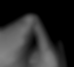 Member Image