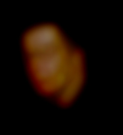 Member Image