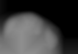 Member Image