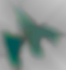 Member Image