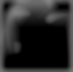 Member Image