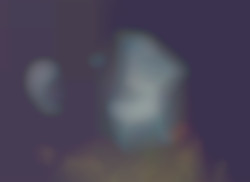 Member Image