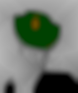 Member Image