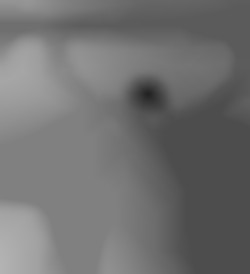 Member Image