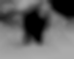Member Image