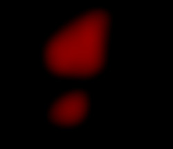 Member Image