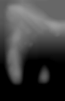Member Image