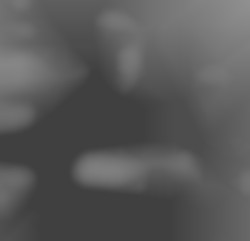 Member Image