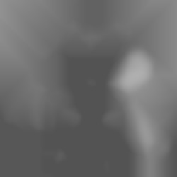 Member Image