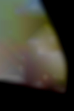 Member Image