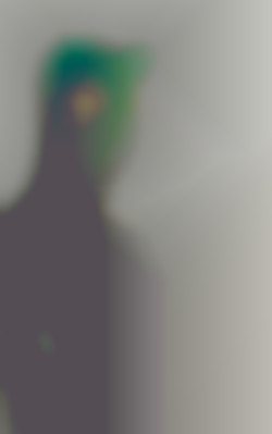 Member Image