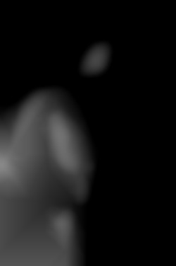 Member Image