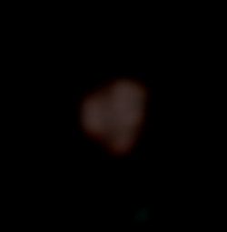 Member Image